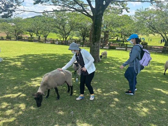 ワークプラザひまわりの家