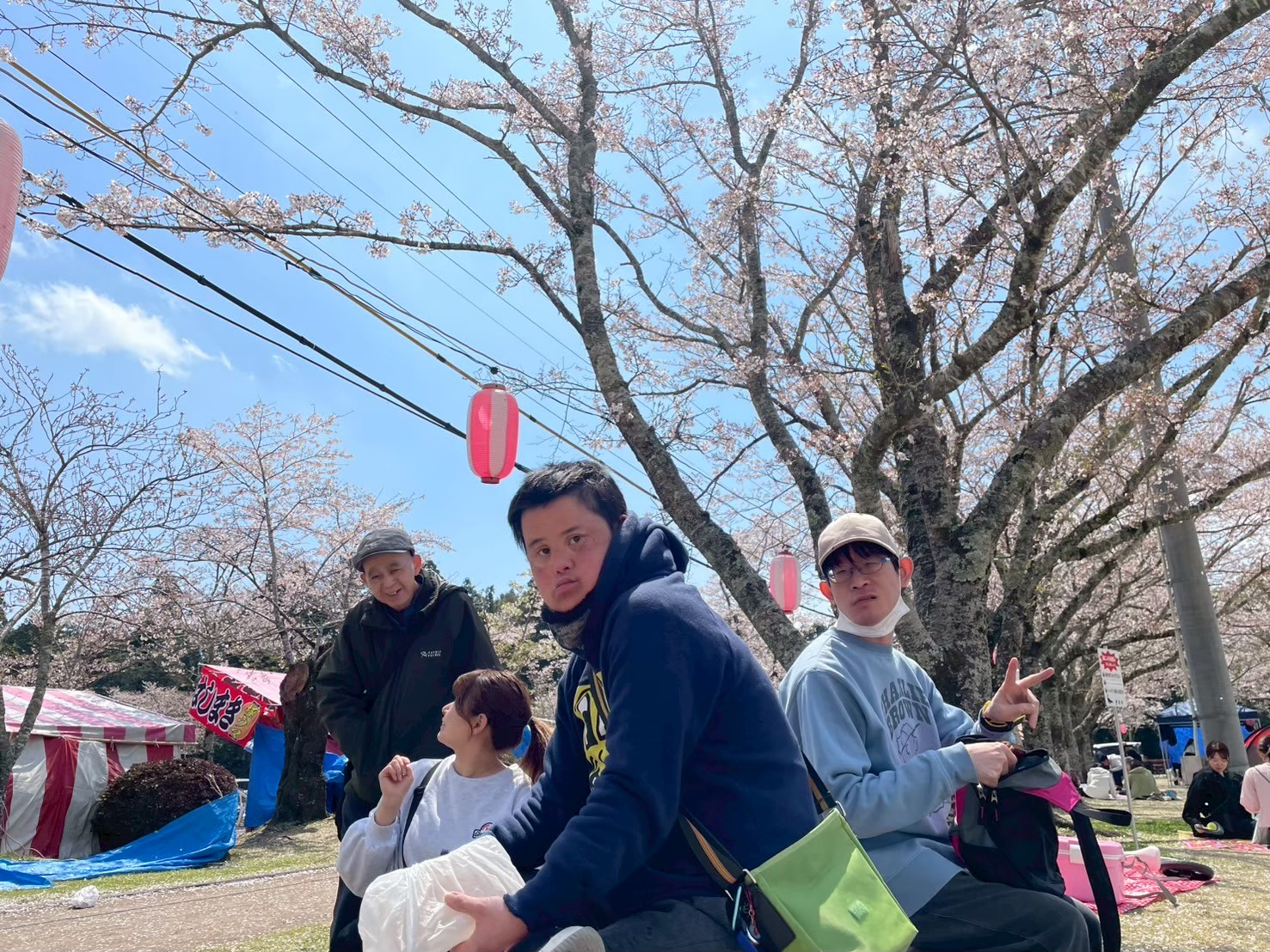 お花見