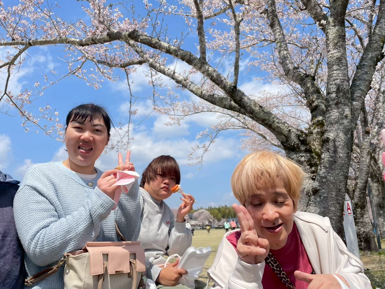お花見
