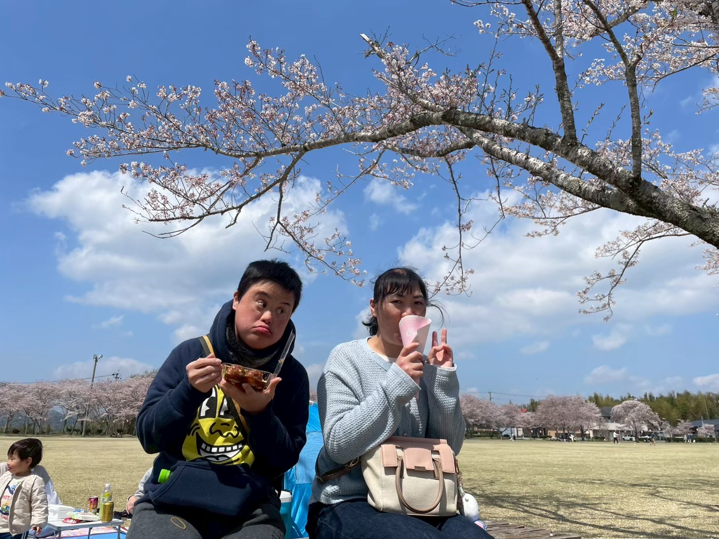 お花見
