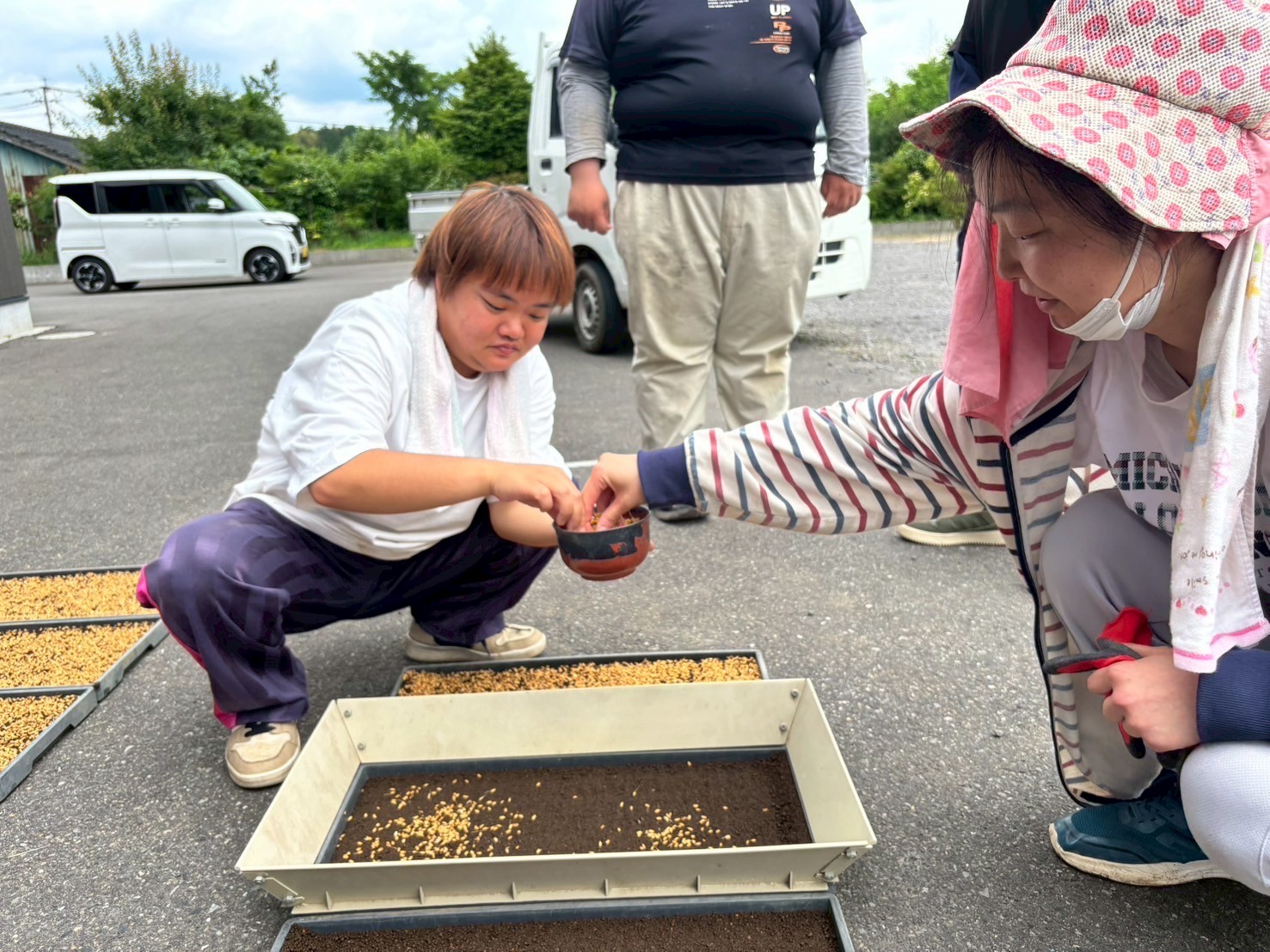 田植え準備