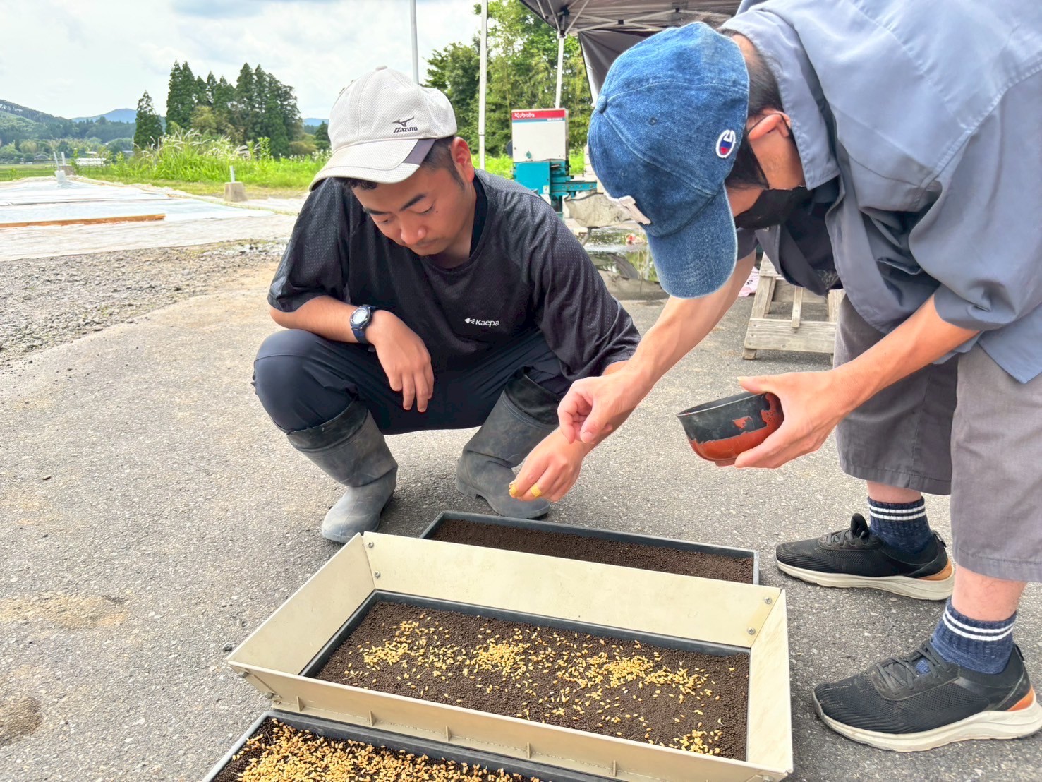 田植え準備