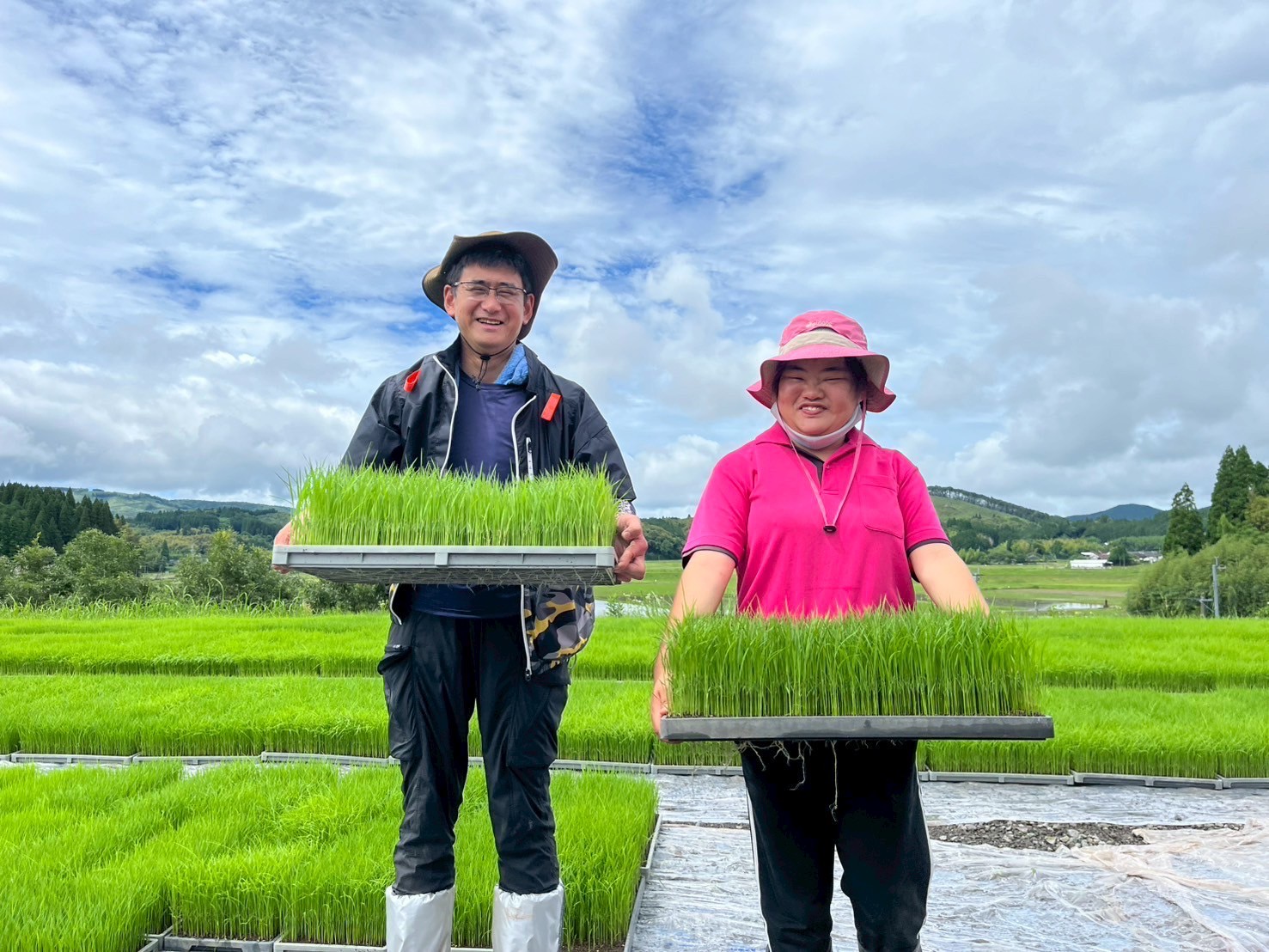 田植え準備