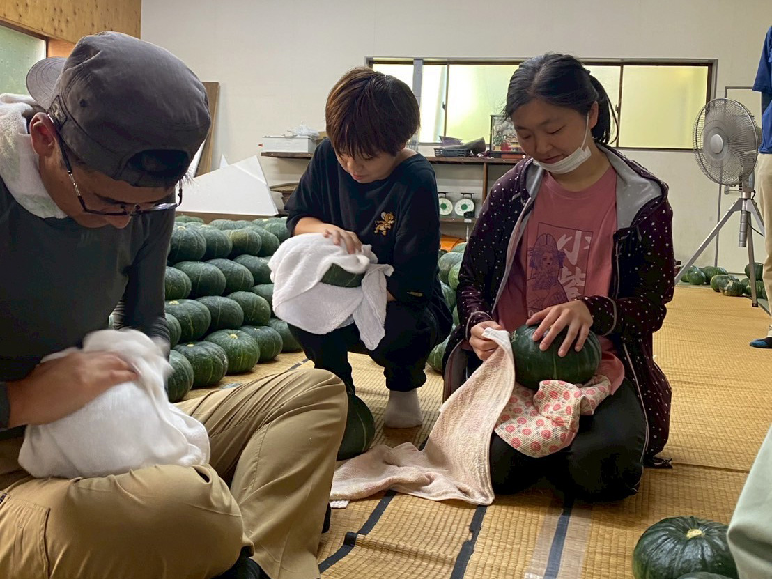 かぼちゃ